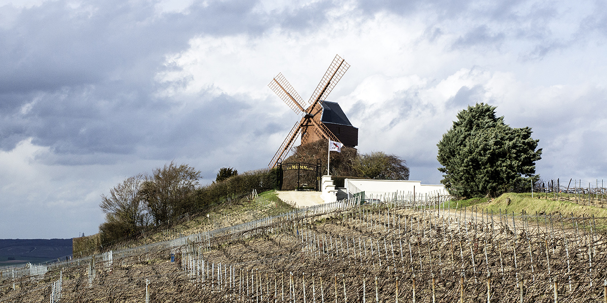 Champagne Mumm Comeback in Deutschland Surlapointe