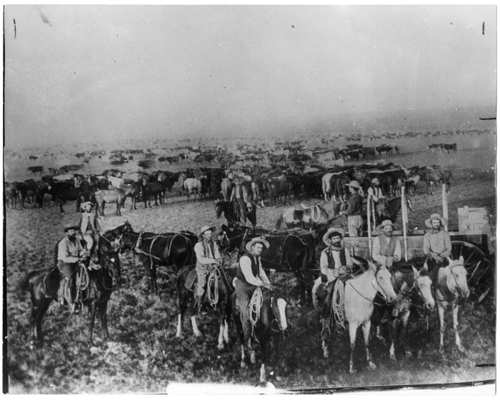 Cowboys der XIT-Ranch